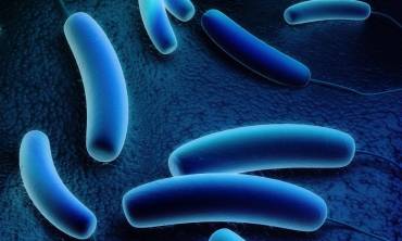Control Legionella