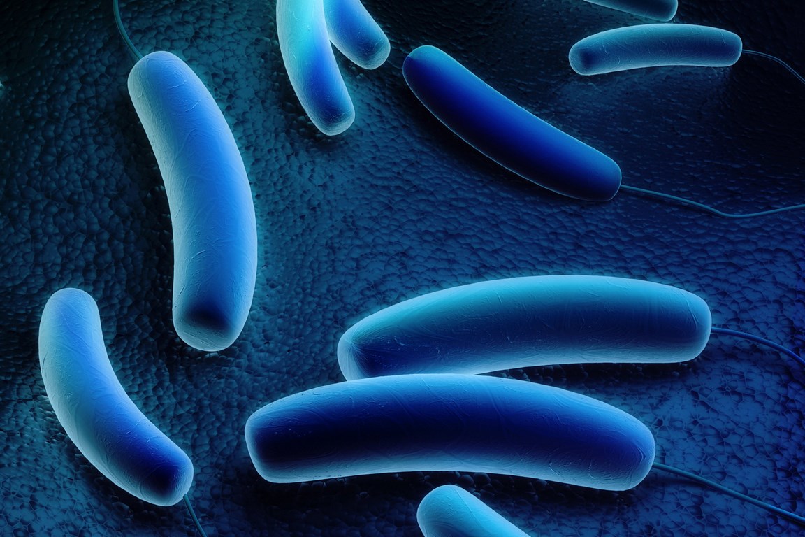 Control Legionella